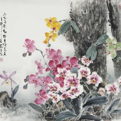 F033 Butterfly Orchids 8592cm 2011
